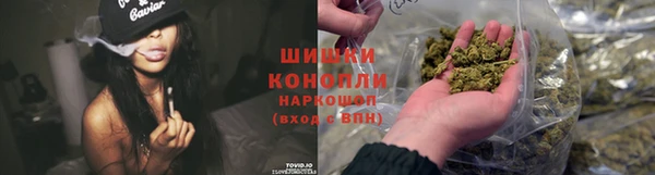 гидра Армянск